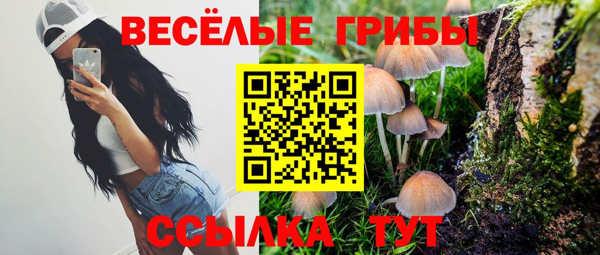 Галлюциногенные грибы GOLDEN TEACHER  Вход с VPN  Мирный  Псилоцибиновые грибы прущие грибы 